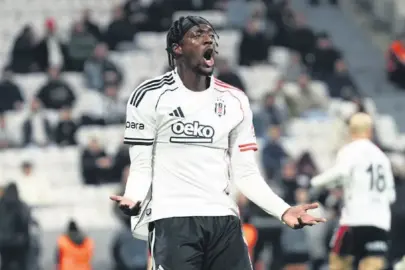 Bir Tammy ile iki kuş!