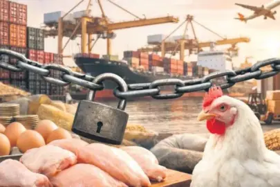 Tavuk eti ihracatı durduruldu