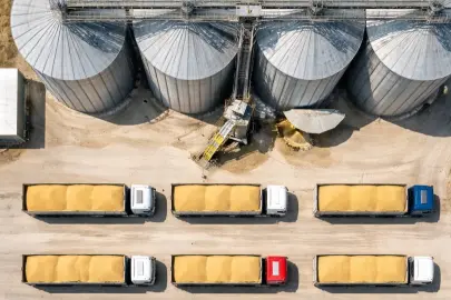 TMO’dan buğday satışı... 1,2 milyon ton stok günlük açık artırmada