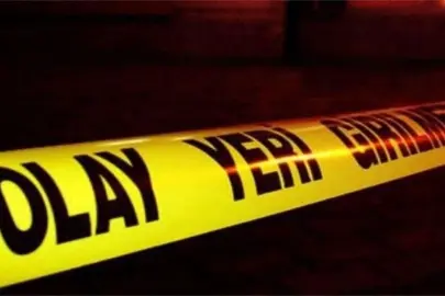 Yığılca–Alaplı yolunda tır şarampole devrildi