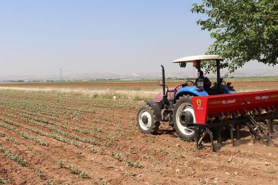 DMM, Türkiye'de gübre krizi yaşandığı iddiasını yalanladı