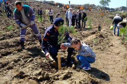 Muğla'da yanan ormanlık alan 2 bin fidanla yeşeriyor