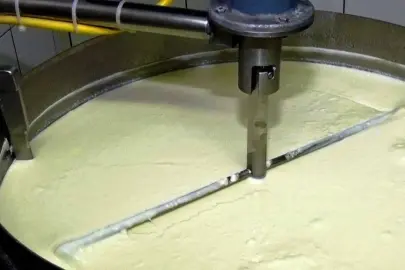 Süt ve süt ürünlerinde yoğurt üretimi arttı