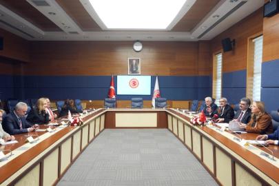 Türkiye ile KKTC'nin parlamentolar arası dostluk grupları Meclis'te bir araya geldi