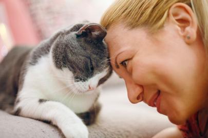 Evcil hayvanlara özel kanal açıldı. 24 saat yayın yapıyor