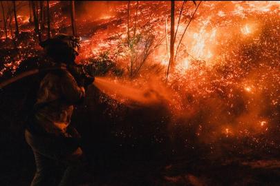 Japonya’da ormanlar yanıyor