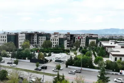 BTÜ'den sürdürülebilir gıdaya katkı... Akdeniz’in baklagilleri yeni nesil gıdalara dönüşüyor