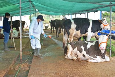 Büyükşehir'den kurban satış alanlarında ilaçlama