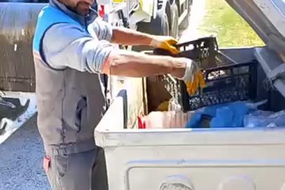 Çöp konteynerine atılan kaplumbağa kurtarıldı