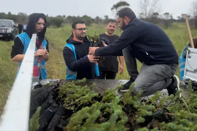 İzmir Aliağa’da yangınların yarası bin fıstık çamıyla sarıldı