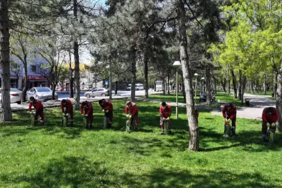 Kayseri Kocasinan'da açık alanlarda yoğun ilaçlama