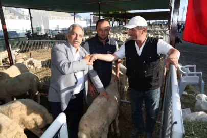 Kayseri Talas'ta kurban yerleri için kura çekildi