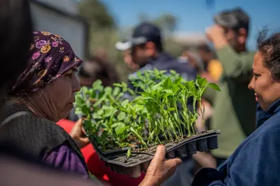 Muğla Milas'tan üreticilere fide desteği