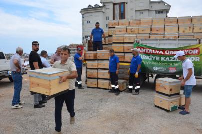 Büyükşehir’den Antalya’nın dört bir yanına arı kovanı desteği
