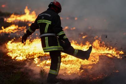Fransa ve İspanya'da orman yangınları devam ediyor. Asker sahaya indi