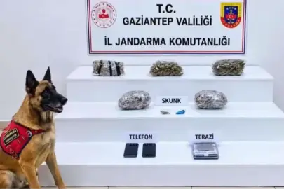 32 ilde yüzlerce kilo uyuşturucu ele geçirildi